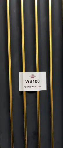 [WS100] PS WALL PANEL/ CV52